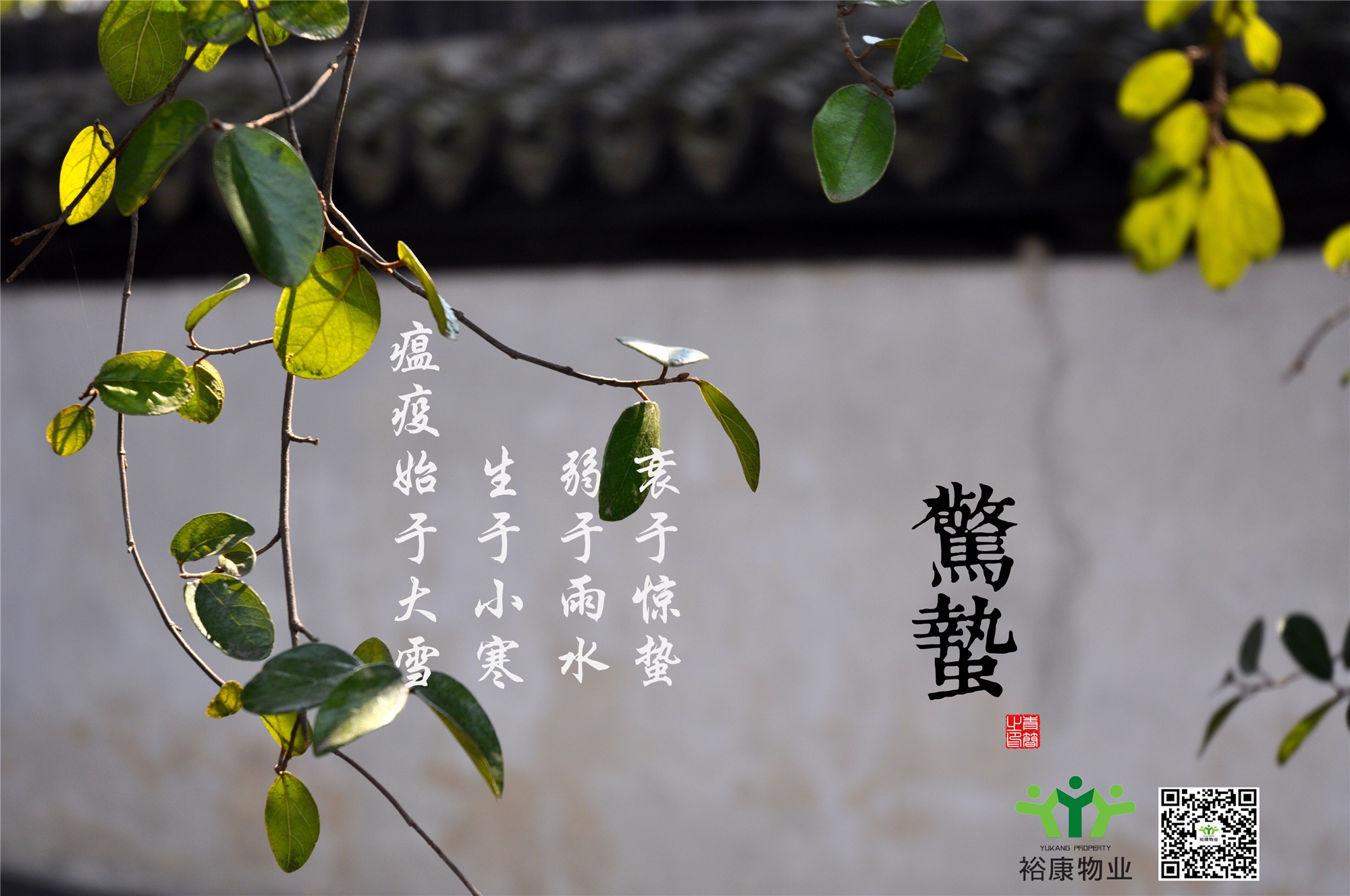 庚子春，二月十二，驚蟄日