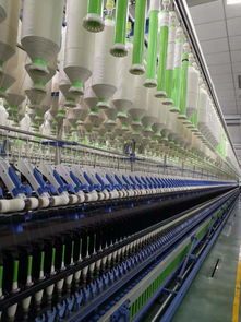 世界最大毛巾廠轉身擁抱互聯網，為何獨選拼多多？